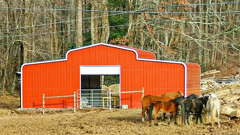 36x30x12 Regular Style Barn — 36'W x 30'L metal building from Get Carports