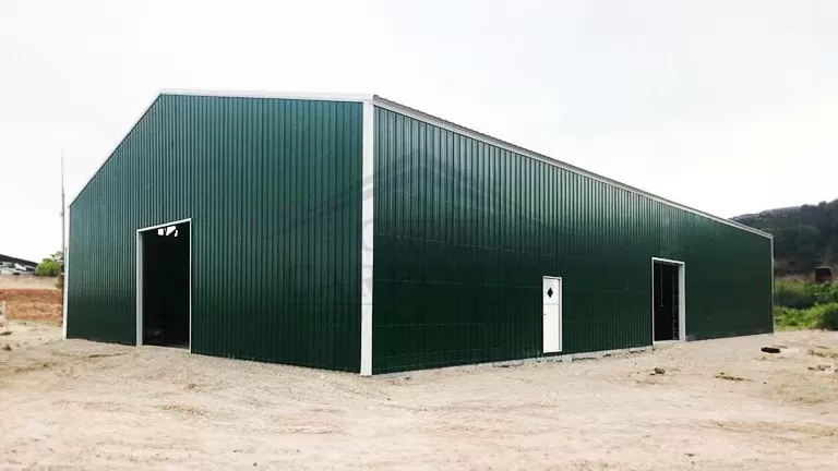 60x100x14 Steel Warehouse